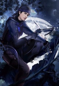 崩壞星河
